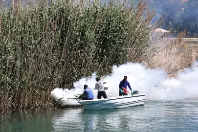 Antalya’da denizden karaya ilaçlama yapılıyor