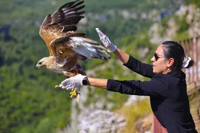 Antalya’da tedavi edilen kızıl şahin yeniden doğaya kavuştu
