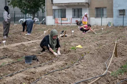 Avrupa’dan Bornova’ya kent bostanı incelemesi