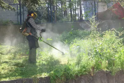 Bursa Osmangazi’de yabani ot temizliği
