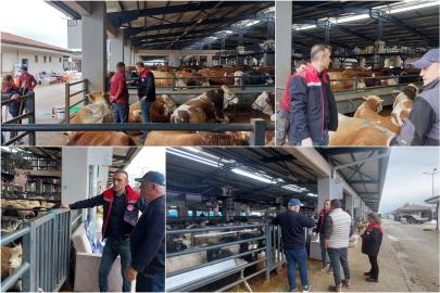 Bursa’da kurbanlık hayvanlara yönelik kapsamlı denetim