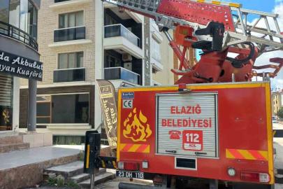Cam arasına sıkışan güvercin kurtarıldı