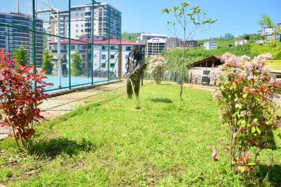 Giresun'da yaz mesaisine hız verildi