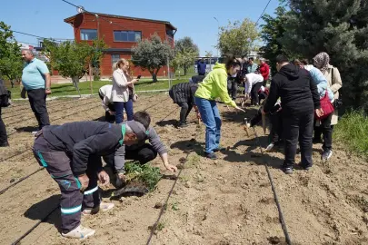 İstanbul Beylikdüzü'nde yazlık fideler toprakla buluştu