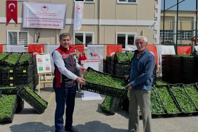 İstanbul Şile’de 146 bin fide dağıtıldı