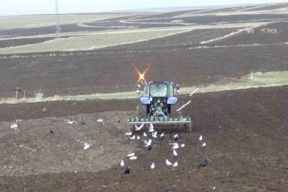 Kars’ta kış uzadı, ekim gecikti: Çiftçi zamanla yarışıyor