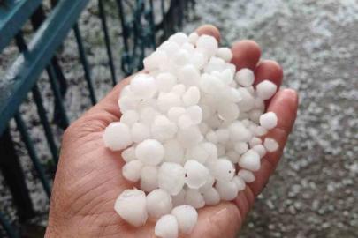 Malatya’da dolu kayısı bahçelerine zarar verdi