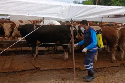 Trabzon’da kurban alanlarında hijyen seferberliği