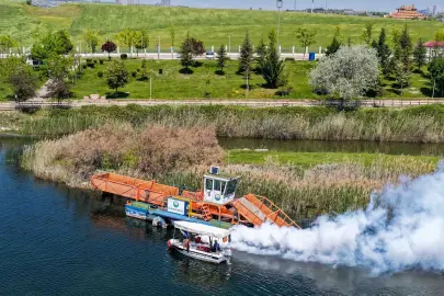 Başkent’te yaz dönemi ilaçlama seferberliği başladı