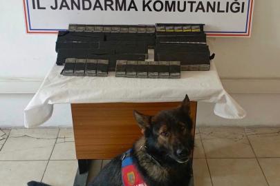 Diyadin’de 180 paket kaçak sigara yakalandı