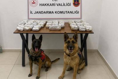 Hakkari’de 21 kilo 650 gram toz esrar ele geçirildi