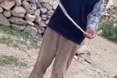 Iğdır’da eve girmeye çalışan yılanı çıplak elle yakaladı