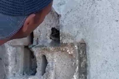 Kars’ta sıva altından gelen ses hayat kurtardı: Usta duvarı kırıp kuş yavrularını kurtardı