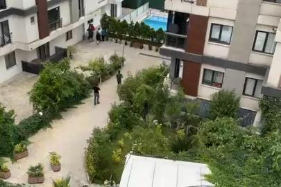 Yeni boşanmış çiftin cansız bedenleri sitenin bahçesinde bulundu