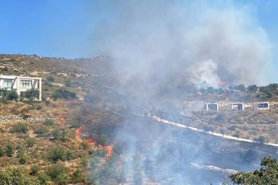 Bodrum'da otluk ve makilik alanda yangın