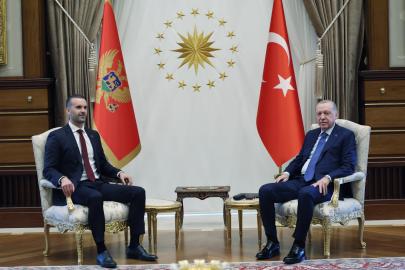 Cumhurbaşkanı Erdoğan, Karadağ Başbakanı Spajic ile görüştü