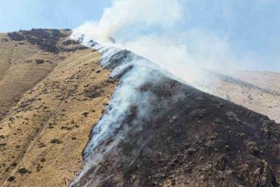 Elazığ’da dağlık alanda yangına sebep olan şüpheli tutuklandı