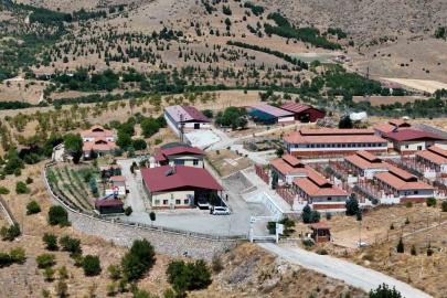Geçici Hayvan Bakımevi ve Rehabilitasyon Merkezi’nde 15 bin sokak hayvanı tedavi edildi
