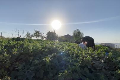 Ağrı’da bostanların bereketi kışa taşınıyor