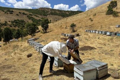 Bingöl’de arıcılara destekleme ve hastalık denetimi