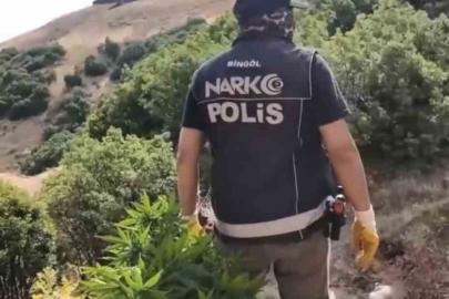 Bingöl’de uyuşturucu operasyonu: 3 şüpheli tutuklandı