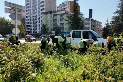 Elazığ Belediyesi, kent genelinde çalışmalarını sürdürüyor