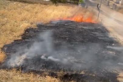 Elazığ’da otluk alanda çıkan yangın söndürüldü