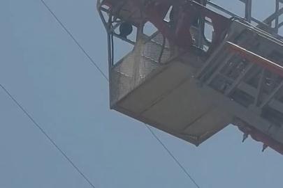 Elazığ’da yaralı leylek itfaiye tarafından kurtarıldı