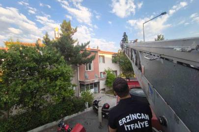 Erzincan’da çatıdaki kedi itfaiye ekiplerince kurtarıldı