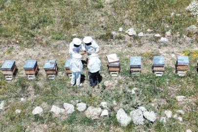 Erzincan’da kovanlar bal doldu, arıcılar hasadı bekliyor