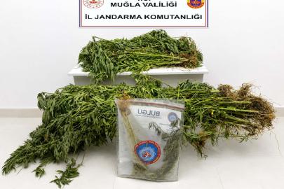Muğla'da uyuşturucu operasyonlarında 33 tutuklama
