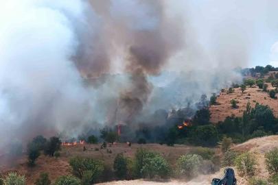 Pütürge’de orman ve örtü yangını kontrol altına alındı