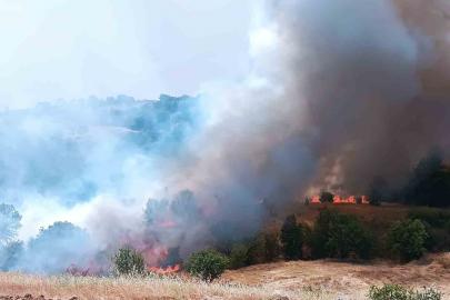 Pütürge’de orman ve örtü yangınına havadan müdahale