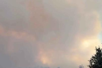 Seydikemer'de tarım arazisinde çıkan yangın, Kaş'ta ormana sıçradı (2)