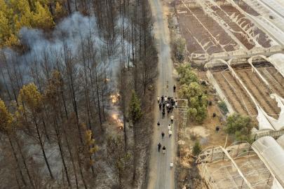 Seydikemer'de tarım arazisinde çıkan yangın, Kaş'ta ormana sıçradı (3)