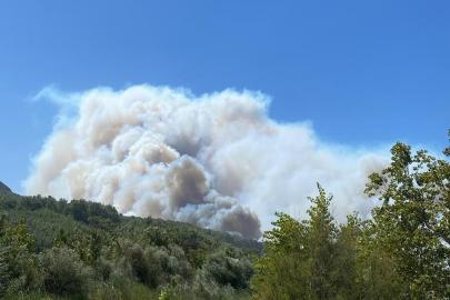 Seydikemer'de tarım arazisinde çıkan yangın, Kaş'ta ormana sıçradı