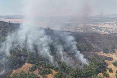 Tunceli’de orman yangını: Havadan ve karadan müdahaleye başlandı