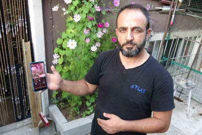 800 bin TL’lik güvercinlerini 24 saat kamera, çelik kapı ve kurtla koruyor