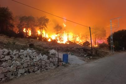 Antalya Aksu'da orman yangını (2)