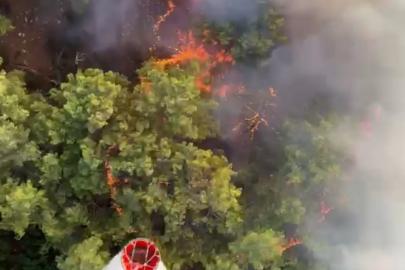 Antalya Aksu'da orman yangını