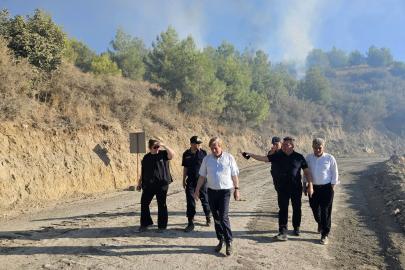 Antalya Serik'teki yangın kontrol altına alındı; 6 ev yandı (2)