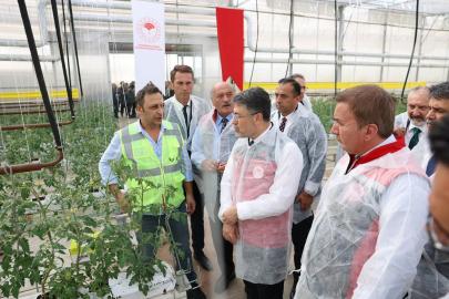 Bakan Yumaklı, Erzincan’daki jeotermal sera alanını inceledi
