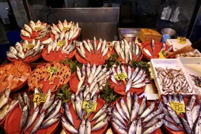 Balık avı sezonu başladı. İşte ilk fiyatlar