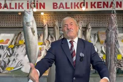 Balık sezonu bereketli başladı, tezgahlar doldu