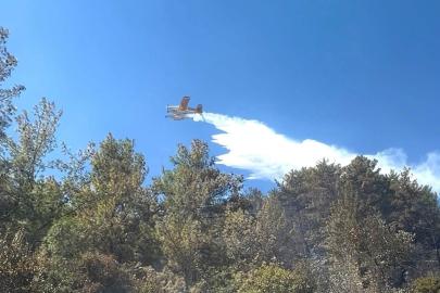 Burdur'da orman yangını (3)