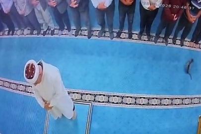 Camide kediyi tekmeleyen şahsa sosyal medyada tepki yağdı: Başsavcılık harekete geçti, gözaltına alındı
