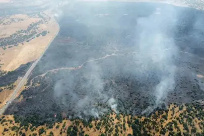Elazığ'da orman yangını. Ekipler müdahale ediyor