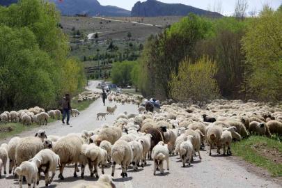 Erzincan’da yaylacılar, 5 aylık sezonun ardından dönüş yolculuğuna başladı