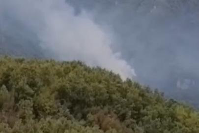 Hatay'daki orman yangını kontrol altında
