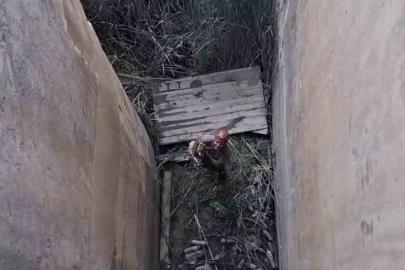 Koruma altındaki dağ keçisi için özel kurtarma operasyonu